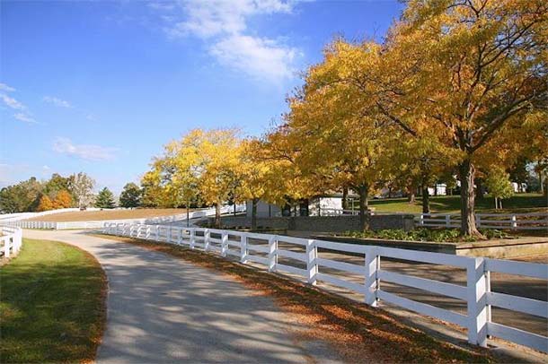 Davidsonville Chimney mason repairs